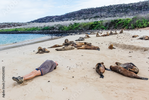 A woman imitates the sea lions on the beach.