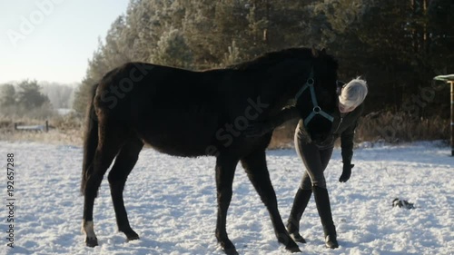 Wallpaper Mural Horsewoman is caressing the horse Torontodigital.ca
