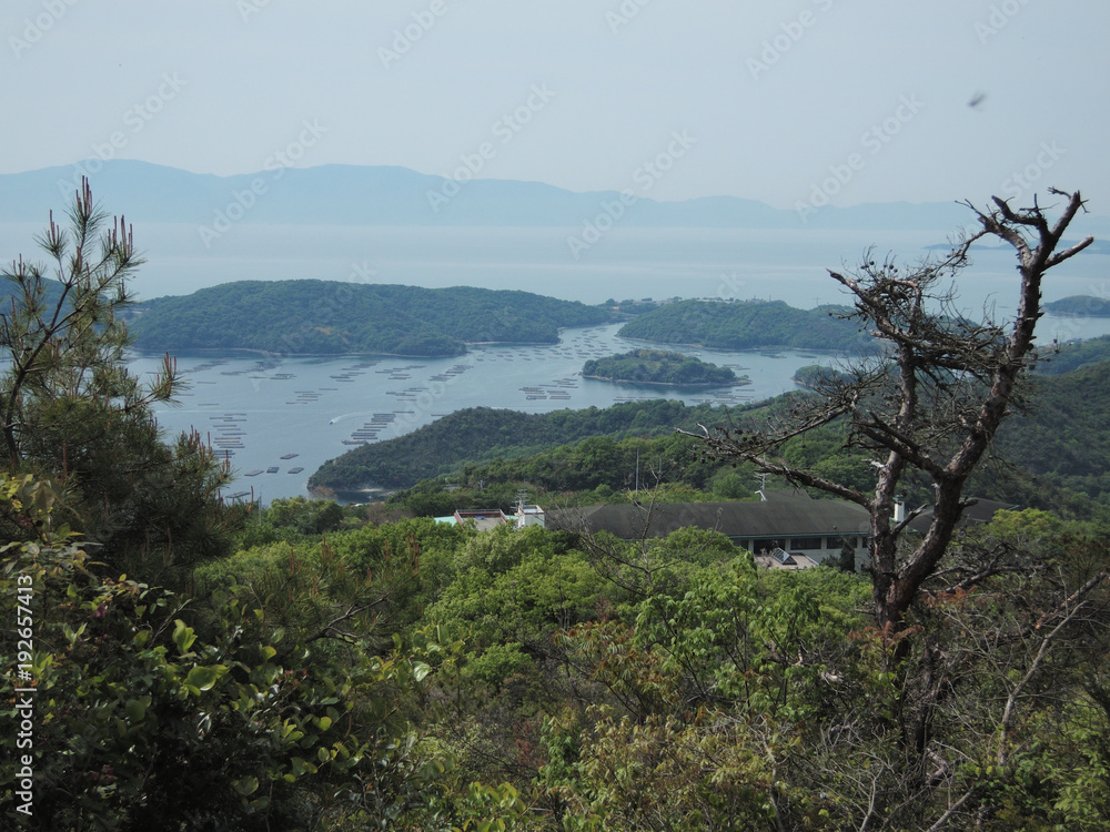 日本の山の風景