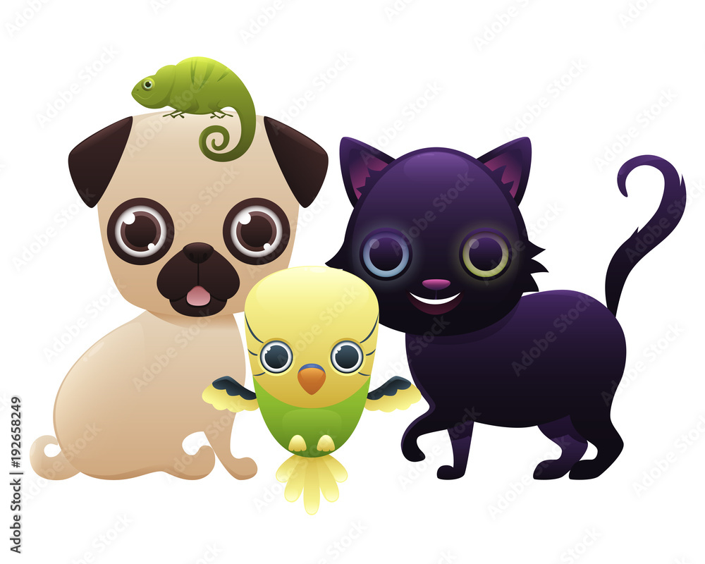 Home pets isolated on white background. Cat, dog, parrot and chameleon. Vector illustration Home pets isolated on white background. Cat, dog, parrot and chameleon. Vector illustration