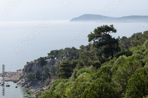 view of Istanbul and the sea from Buyukada island, on top of Buyukada island-part of the Prince Islands-in Turkey. photo
