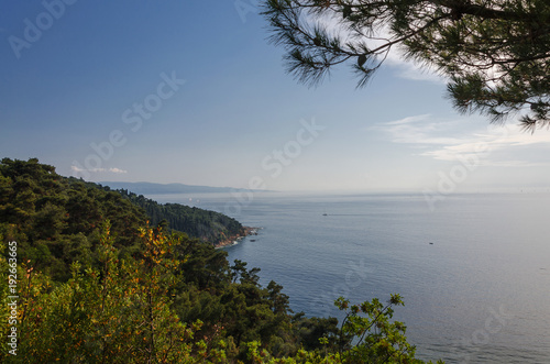 view of Istanbul and the sea from Buyukada island, on top of Buyukada island-part of the Prince Islands-in Turkey.