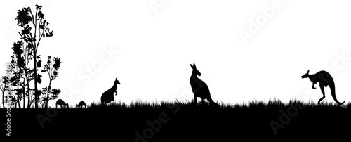 Black silhouette of koala and kanagroos on white background.