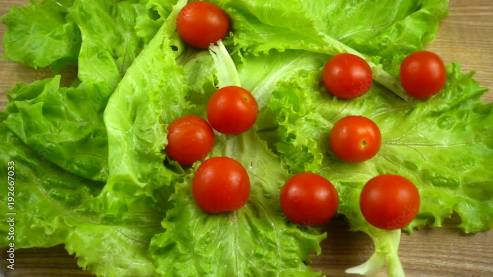 Falling of tomatoes on lettuce leaves. Slow Motion. Falling of tomatoes on lettuce leaves. Slow Motion.