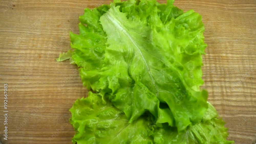 Lettuce leaves fall on a board. Slow Motion. Lettuce leaves fall on a board. Slow Motion.