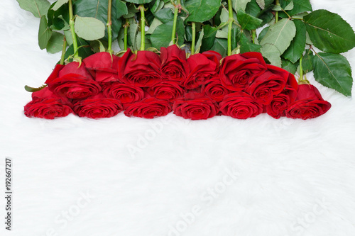 Big bouquet of red roses on white fur © somemeans
