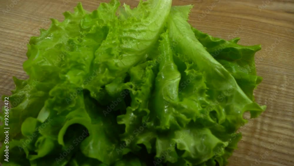Lettuce leaves fall on a board. Slow Motion. Lettuce leaves fall on a board. Slow Motion.