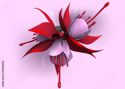fuchsia on pink background