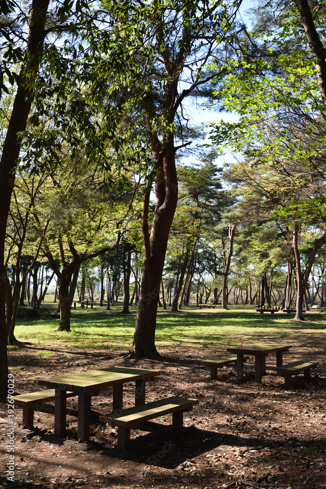 Bench in park