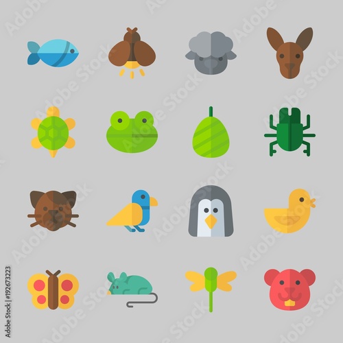 Icons about Animals with cat, kangaroo, sheep, frog, fish and penguin photo