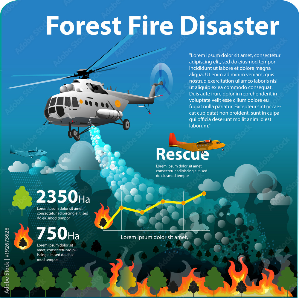 Vector illustration, info graphic forest fire disaster