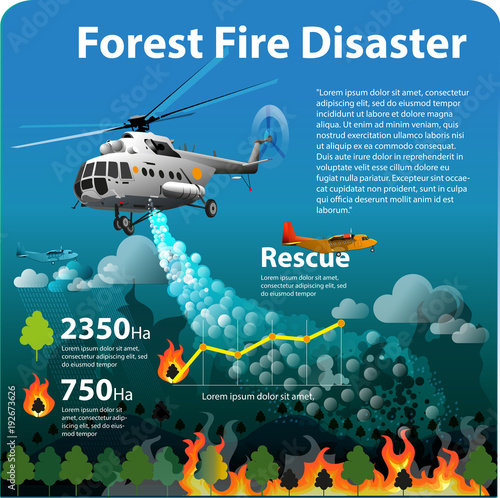 Vector illustration, info graphic forest fire disaster