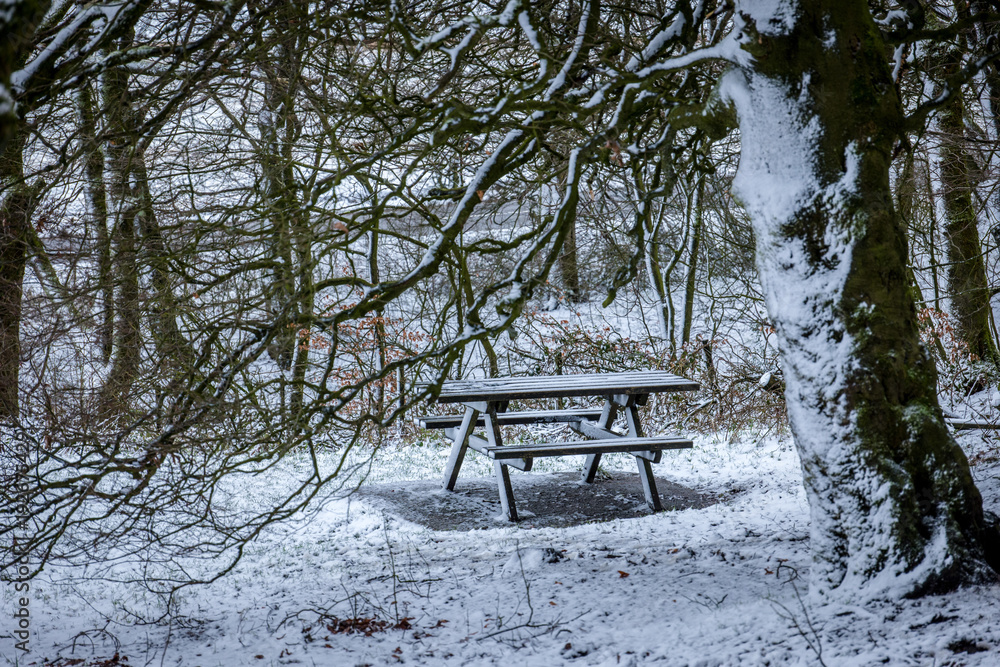 picnic table in the winter snow and forest
