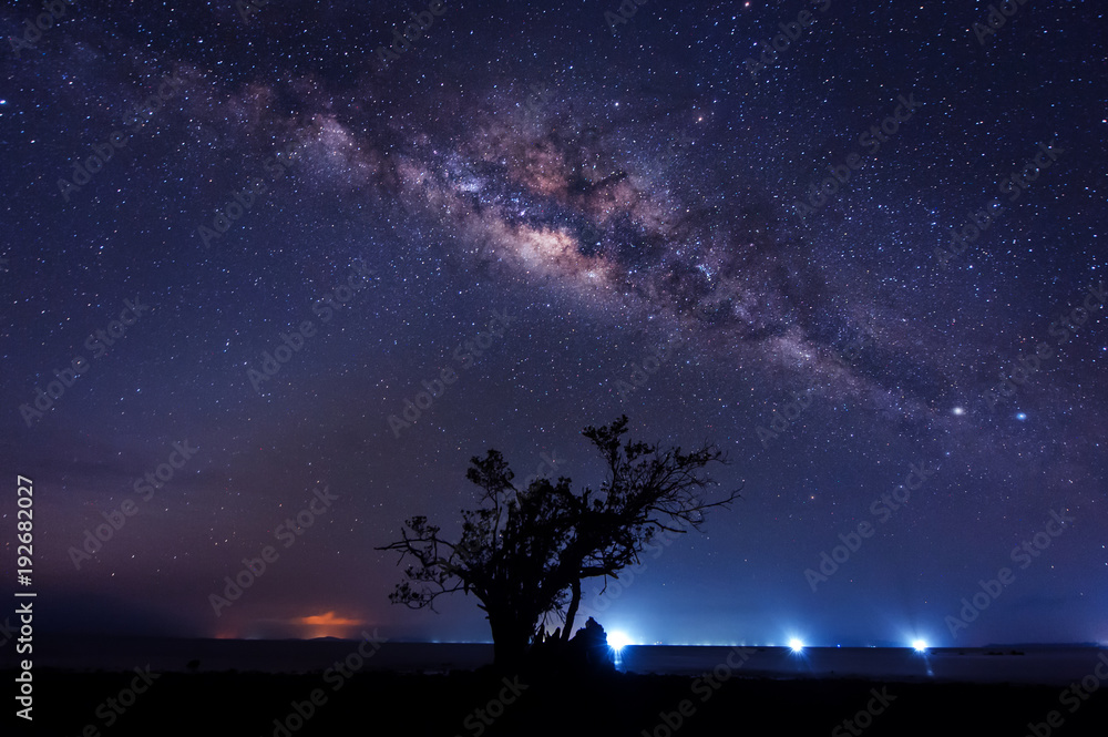 Obraz premium milkyway galaxy rise above lone tree at Kudat, Sabah Malaysia. Image contain soft focus, blur and noise due to long expose and high iso. Long expose and high iso setting need in night photo. 
