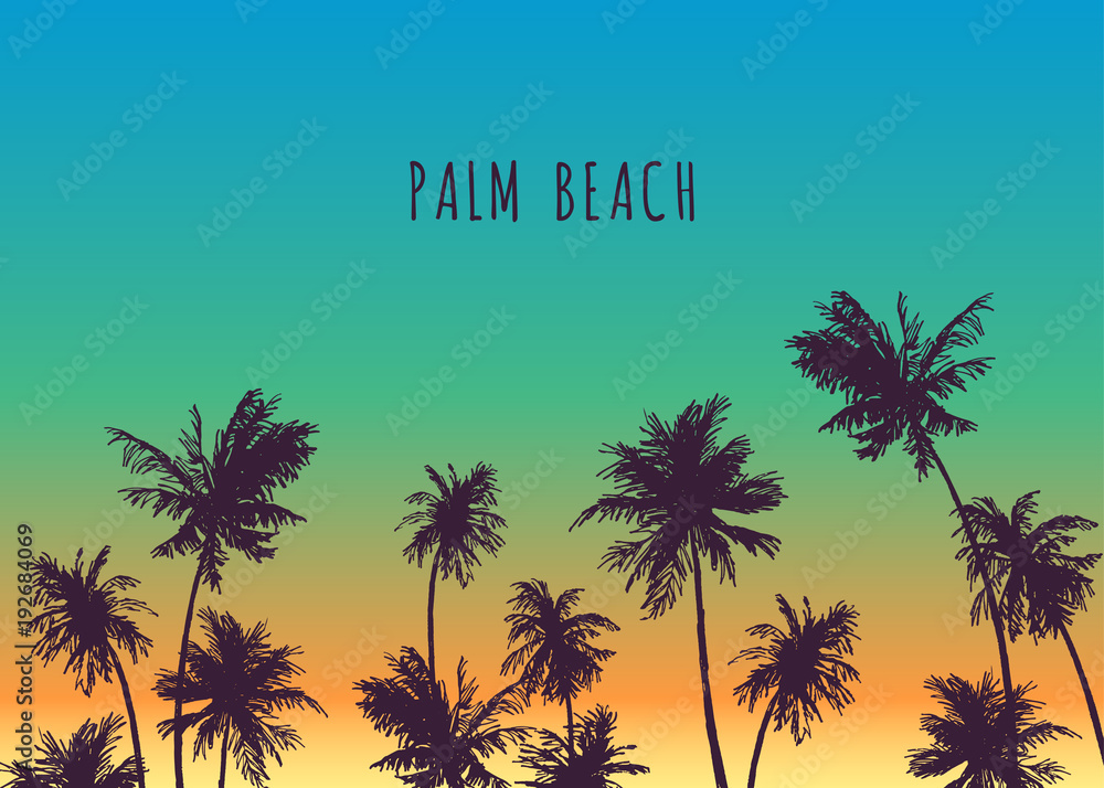 Palm beach. Vector hand drawn background for tropical design. Sketch illustration with trees on sunset