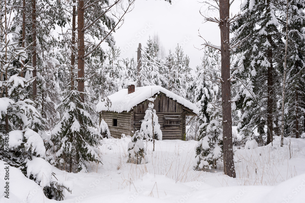 Shed cover in snow, wintery view Shed cover in snow, wintery view