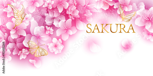 hanami sakura background