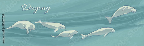 Dugongs underwater swimming. Vector illustration of sea cows on ocean current background. Hand drawn marine animals.