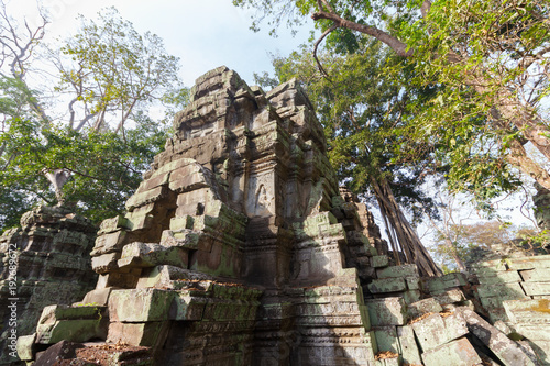 Konstfotografi Trees growing on Temple Ta Phrom at Angkor Wat, Cambodia