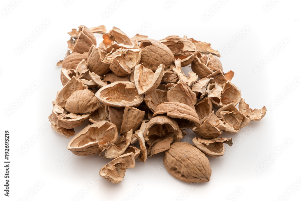 Pile of shells nutshells Pile of shells nutshells