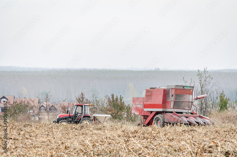 Fototapeta premium Harvester machine to harvest wheat field working