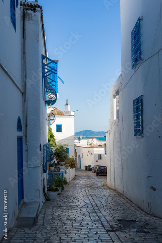 The village of Sidi Bou Saïd in Tunisia © patrick