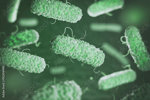 Enterobacterias. Gram-negative bacterias escherichia coli, salmonella, klebsiella. photo