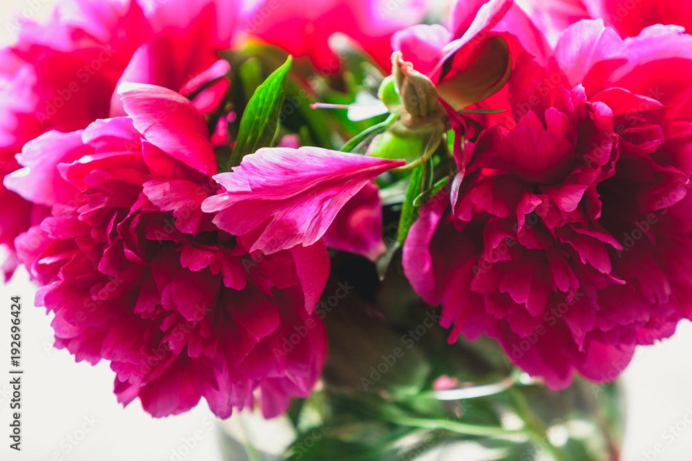 Fototapeta premium red peonies in glass vase stand on table
