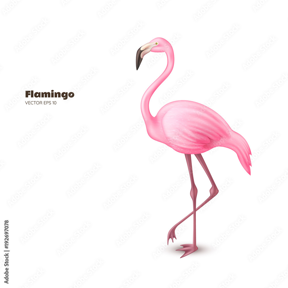 Vector realistic 3d pink flamingo