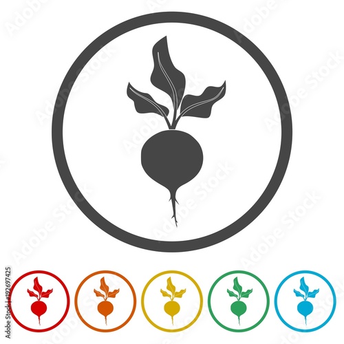Sugar beet icon, 6 Colors Included