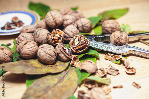 pile of walnuts lying on leaves. Near Nutcracker and saucer © glebchik