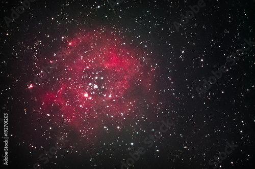 Fototapeta Naklejka Na Ścianę i Meble -  The Rosette Nebula as seen from Mannheim in Germany.