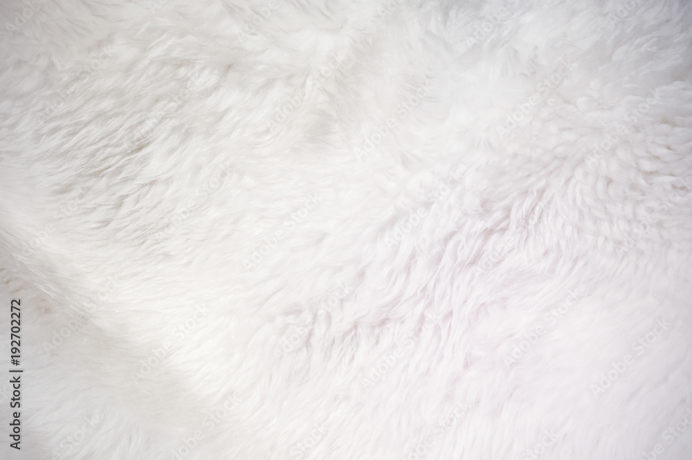 White soft fur texture background