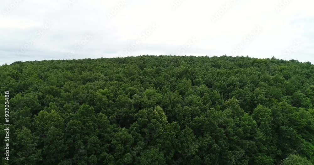 Flying over the beautiful forest trees. Landscape panorama. Flying over the beautiful forest trees. Landscape panorama.