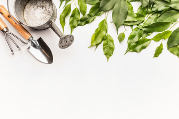 Watering can with gardening tools and green bunch of twigs and leaves on white desk background, top view, border