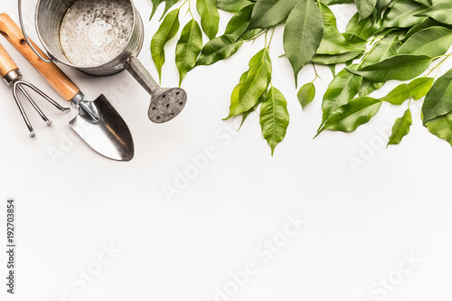 Watering can with gardening tools and green bunch of twigs and leaves on white desk background, top view, border