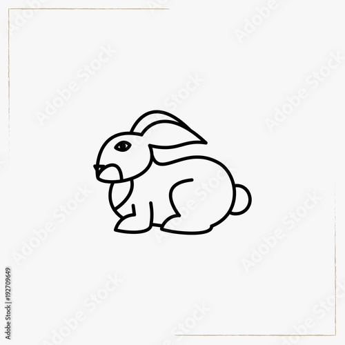 rabbit line icon