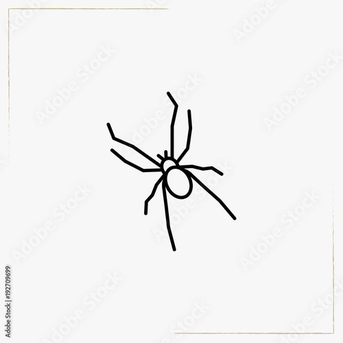 spider line icon © Orkhan