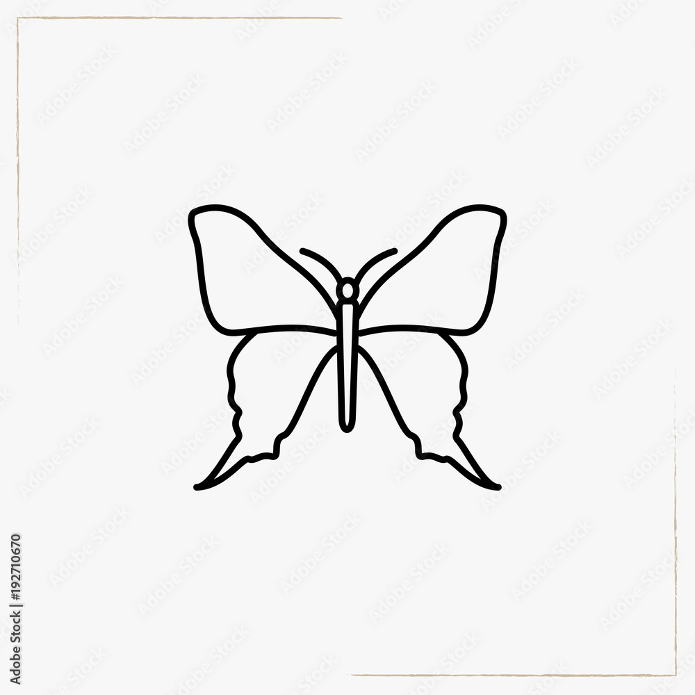 butterfly line icon