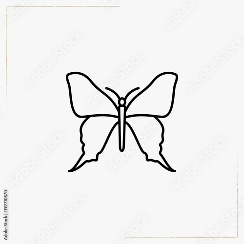 butterfly line icon