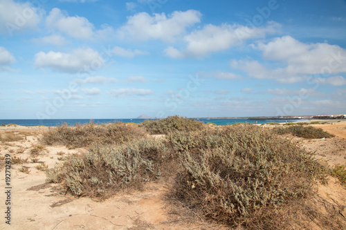 Strandlandschaft Cap Verde  Insel Sal
