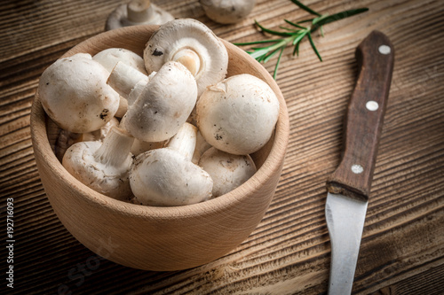 Fresh white champignon mushrooms.