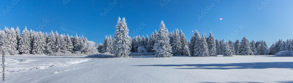 Naklejka premium nodhessischer winter