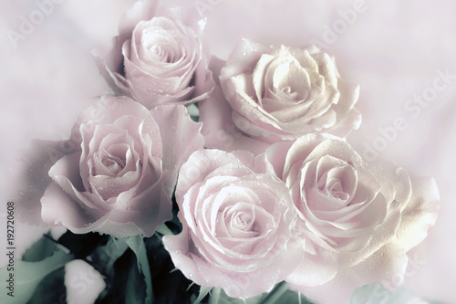 bunch bouquet of romantic roses in old vintage pink colors like a flower background 