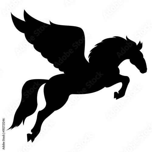 Vector image of a silhouette of a mythical creature of pegasus on a white background. Horse with wings on hind legs.