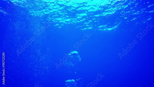 Wallpaper Mural Underwater bubbles Torontodigital.ca