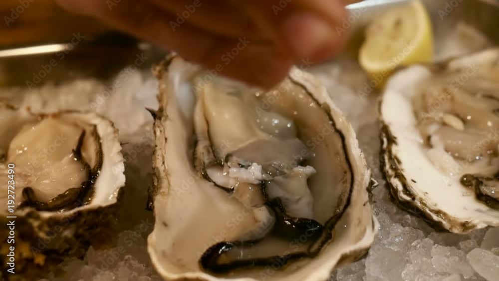 Close-up shot of pouring lemon juice on the open oysters served in restaurant. Delicious seafood in metal plate with ice Close-up shot of pouring lemon juice on the open oysters served in restaurant. Delicious seafood in metal plate with ice