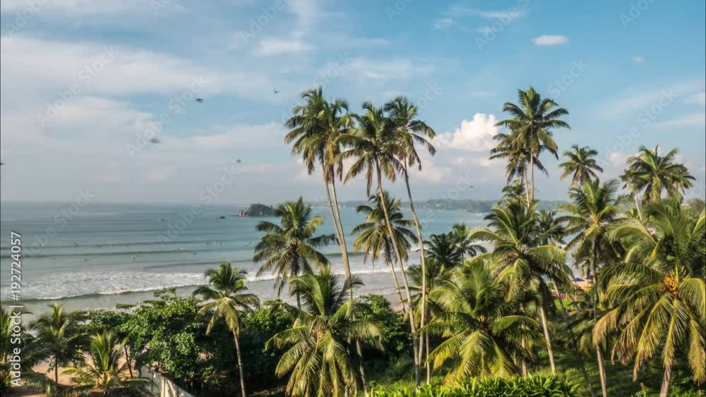 Timelapse of some palm trees with the ocean in the background in Sri Lanka. 4k footage. Timelapse of some palm trees with the ocean in the background in Sri Lanka. 4k footage.