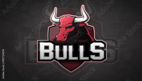 Modern professional bull logo for a sport team