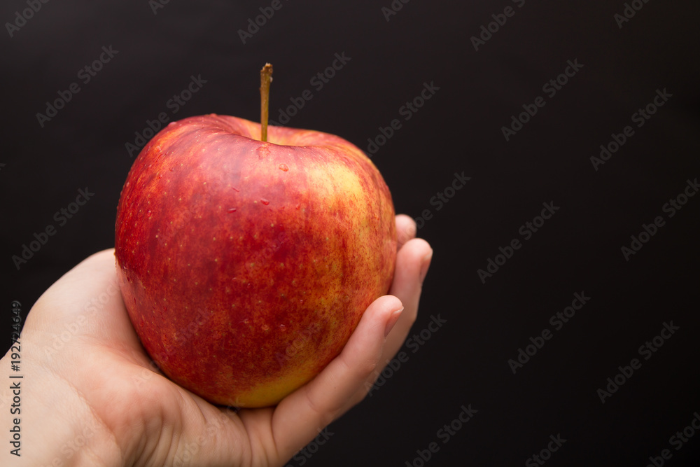a ripe red and yellow apple in woman's hand a ripe red and yellow apple in woman's hand